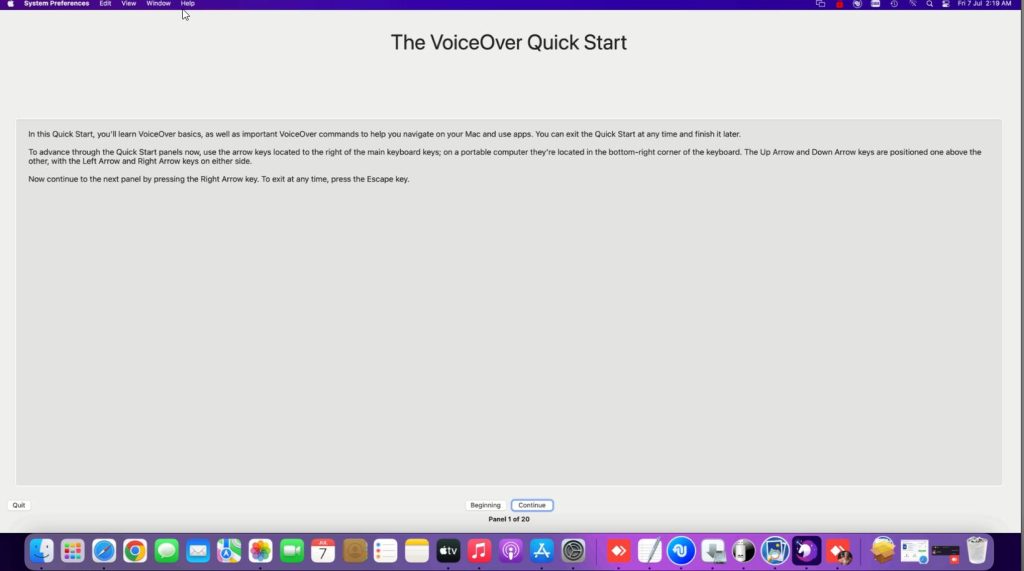 The VoiceOver