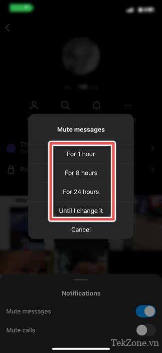 Chọn khoảng thời gian bạn muốn ẩn tin nhắn từ Instagram.