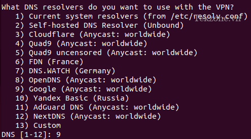 Một thiết bị đầu cuối đang hiển thị lời nhắc cho trình phân giải DNS mặc định.